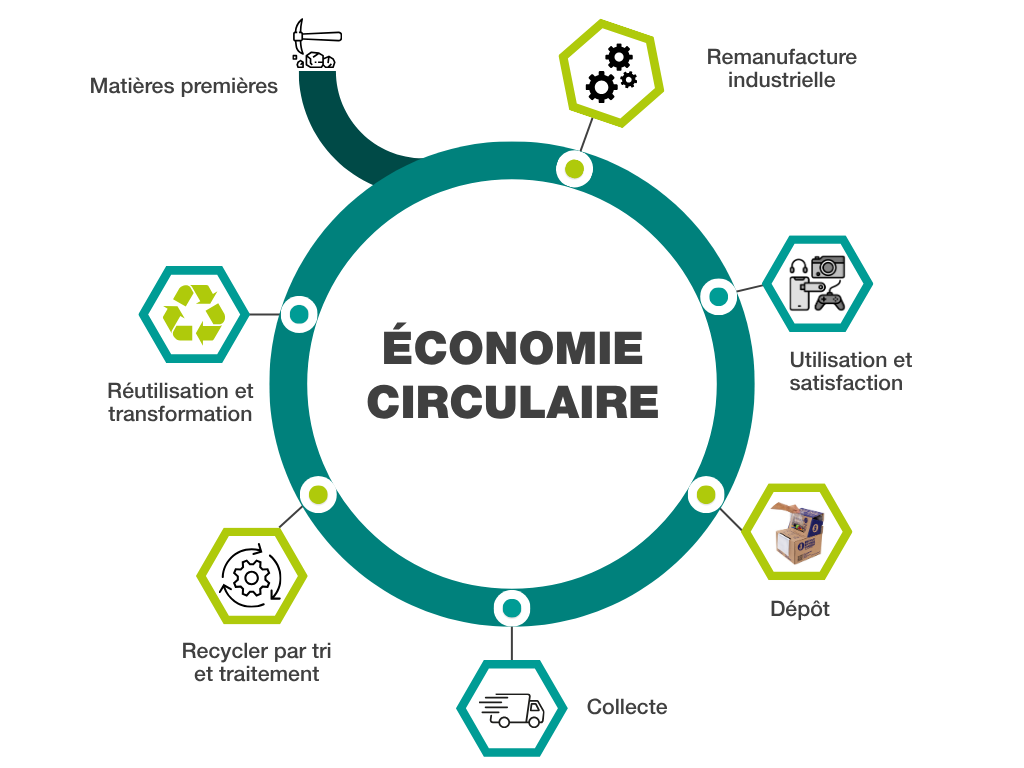 Model of circular economy